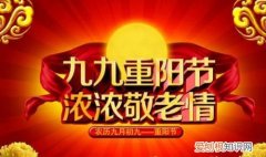 九月八号有什么特殊意义，九月八号到十一月十号有几周