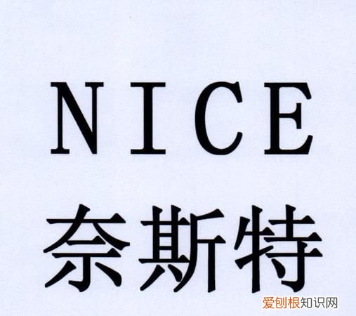 奈斯是什么意思，奈斯特是什么意思