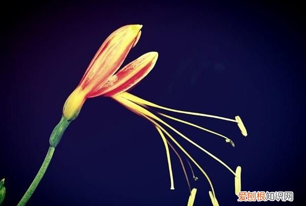 很烦很累的心情说说发朋友圈,适合发朋友圈好累好烦的句子