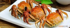 吃螃蟹喝啥酒 给螃蟹喝酒干什么