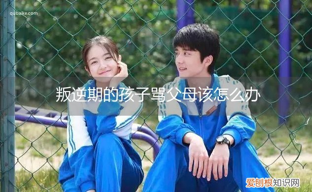 叛逆期的男孩打骂父母怎么办 叛逆期的孩子骂父母该怎么办