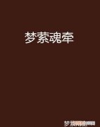 魂牵梦萦打三个数字，一见钟情两情相悦三什么四什么