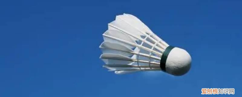 羽毛球女单半决赛是什么意思 羽毛球世锦赛女双决赛是什么意思