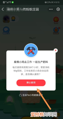 小鸡怎么在蚂蚁庄园抢食