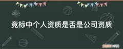 竞标中个人资质是否是公司资质 竞标中个人资质是否是公司资质