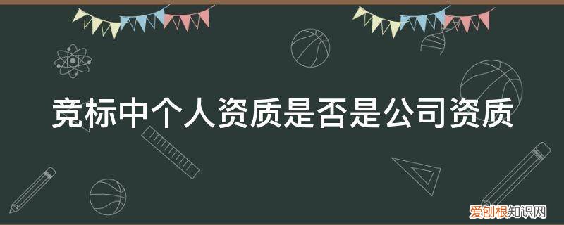 竞标中个人资质是否是公司资质 竞标中个人资质是否是公司资质