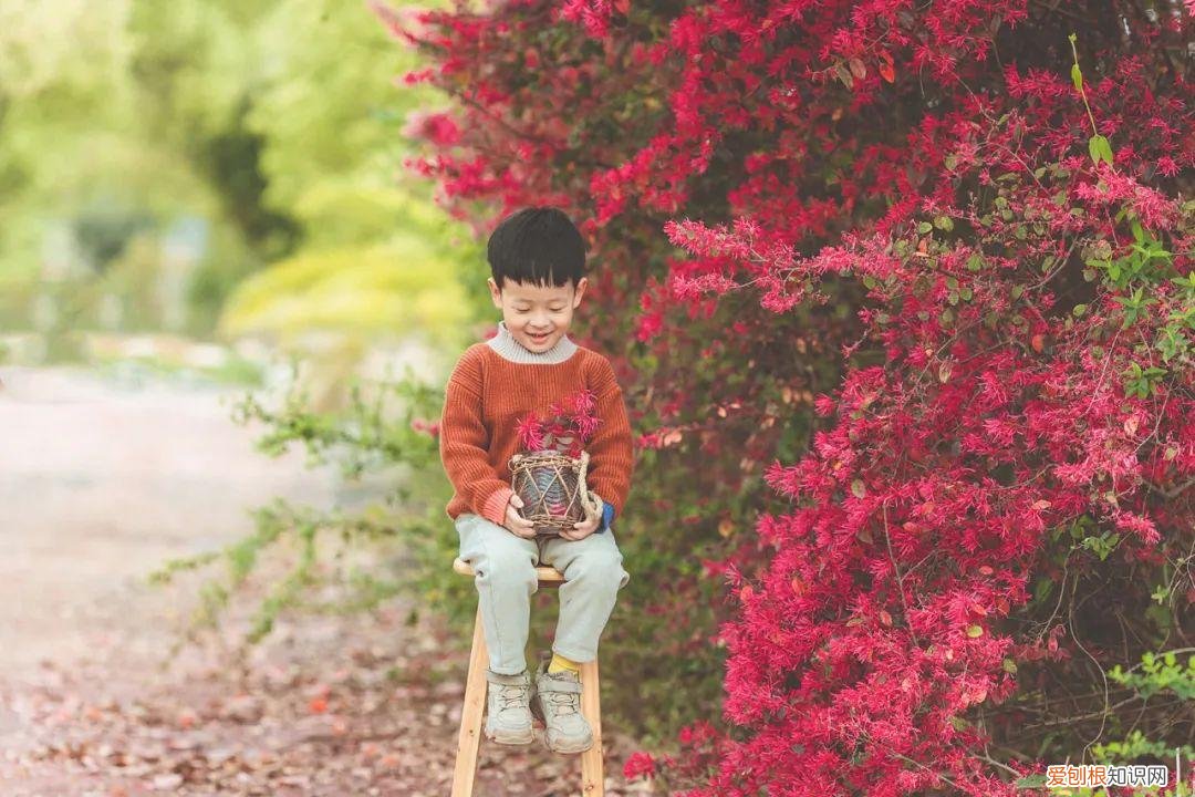 如果一个孩子生活在鼓励中,他就学会了自信的说说，你的这些行为，正悄悄摧毁孩子自信