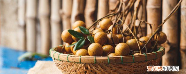 龙眼发芽还能吃么 发芽了的龙眼还可以吃吗