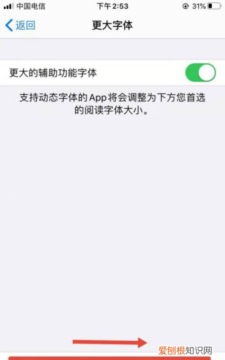 苹果字体大小应该怎么设置