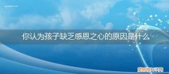 现在的孩子缺少感恩的心 你认为孩子缺乏感恩之心的原因是什么