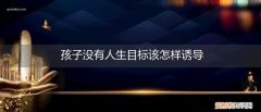 没有目标的孩子怎么教育 孩子没有人生目标该怎样诱导