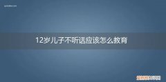 12岁儿子不听话应该怎么教育他 12岁儿子不听话应该怎么教育