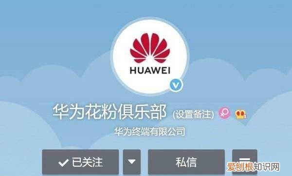 花粉俱乐部怎么查官方店 花粉俱乐部 如何查找附近的环保回收门店 4月06日最新整理发布