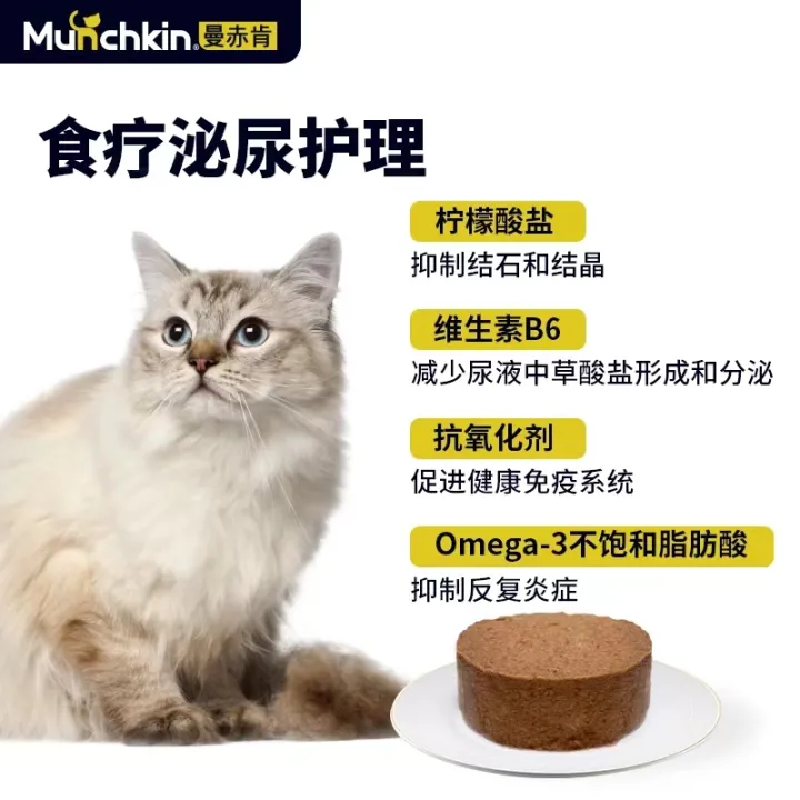 宠物猫尿结石如何治疗好，宠物小知识——猫咪尿结石