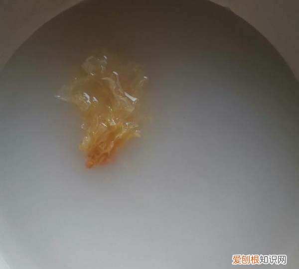 莲子羹需要哪些材料，燕窝莲子羹的做法窍门