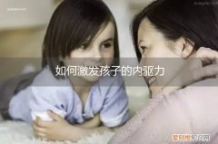 如何激发孩子的内驱力PPT 如何激发孩子的内驱力