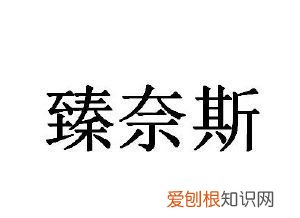 骚奈斯带是啥意思，网络语相当奈斯是什么意思