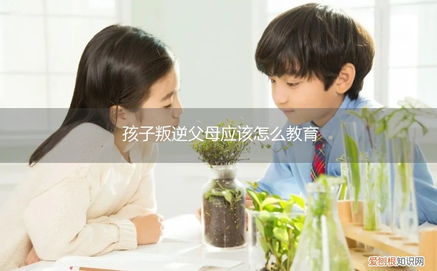 孩子叛逆父母应该怎么教育呢 孩子叛逆父母应该怎么教育