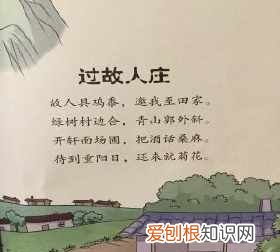 过故人庄的颔联是什么，过故人庄颔联和颈联意思