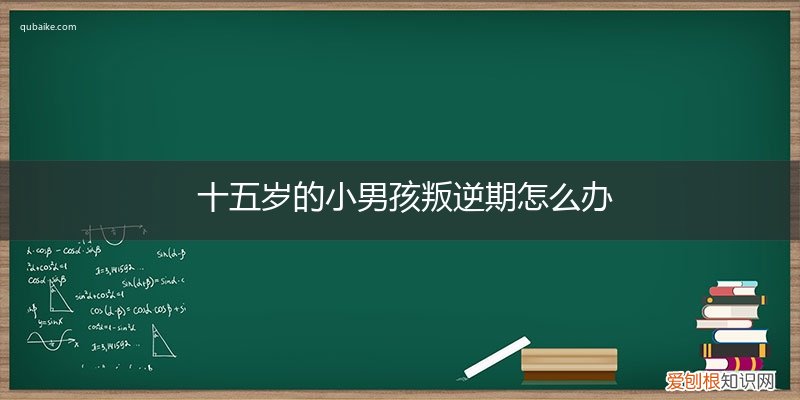 十四五岁的男孩叛逆期应该怎么办 十五岁的小男孩叛逆期怎么办