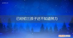 初三努力了还是没有进步 已经初三孩子还不知道努力