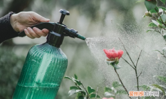怎样自制一个自动浇水器，自动浇花器制作方法及原理