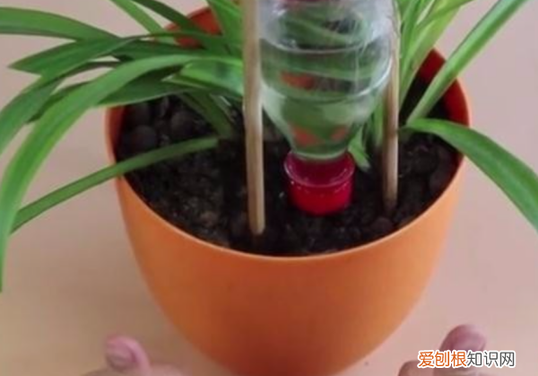 怎样自制一个自动浇水器，自动浇花器制作方法及原理