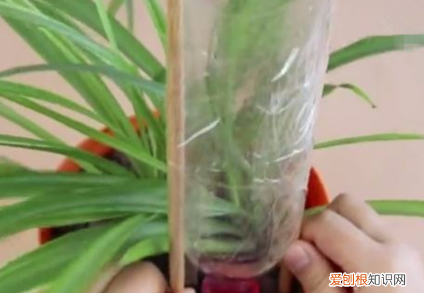 怎样自制一个自动浇水器，自动浇花器制作方法及原理