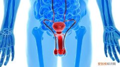 男性遗精的正常次数是多少?，男性经常遗精是什么原因?，男人正常情况下每个月遗精几次