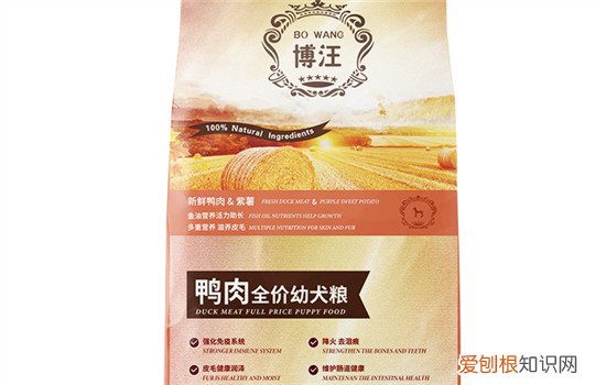 冠能狗粮和博汪哪个更好 好的狗粮是不会添加玉米的