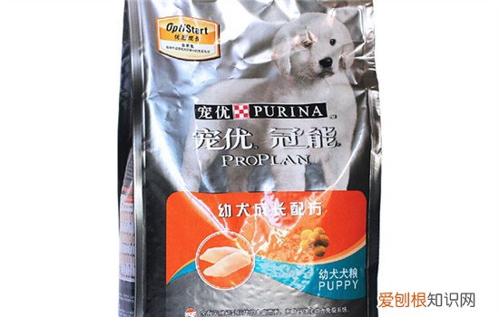 冠能狗粮和博汪哪个更好 好的狗粮是不会添加玉米的