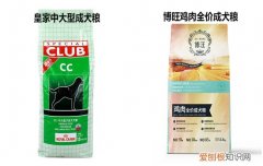 皇家狗粮和博汪狗粮差距大吗 两款狗粮全方位测评