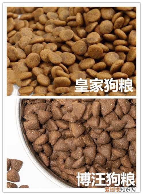 皇家狗粮和博汪狗粮差距大吗 两款狗粮全方位测评