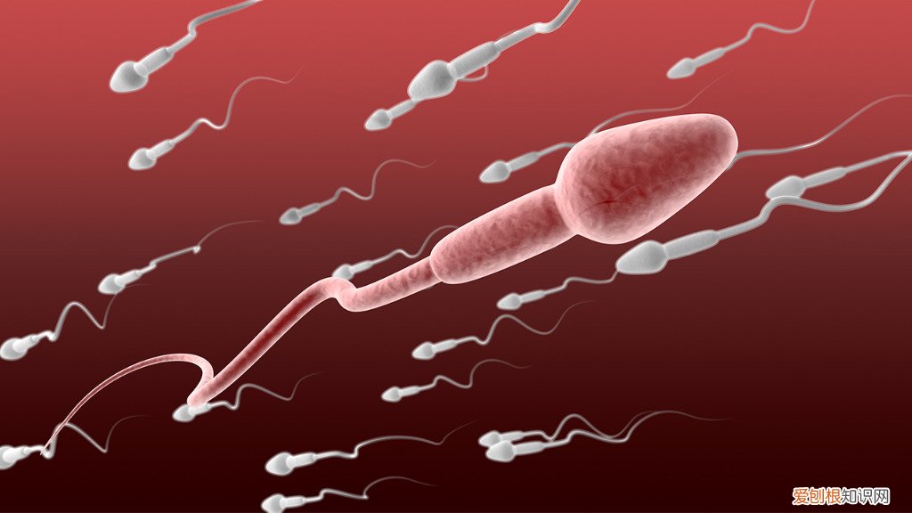 这6个杀精习惯男性趁早远离！