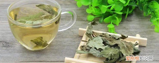 荷叶茶适合什么季节喝 荷叶茶适合哪个季节喝