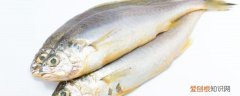 鱼死了放冰箱还能吃吗 鱼死了放冰箱能不能吃