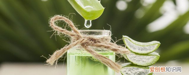 过期的芦荟水有什么用途 过期的芦荟水还有哪些用途呢