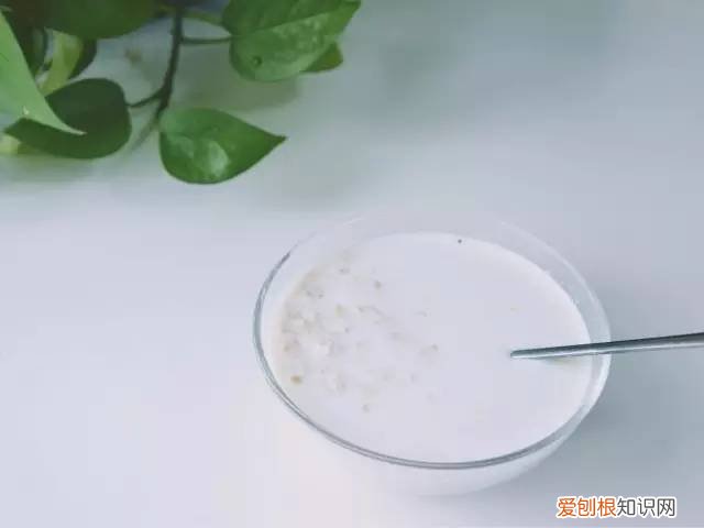 西麦燕麦怎么样