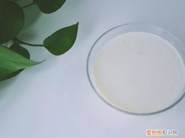 西麦燕麦怎么样