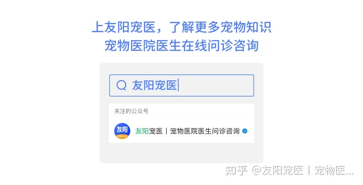 如何分别乌龟的公和母?，怎样分乌龟公母?