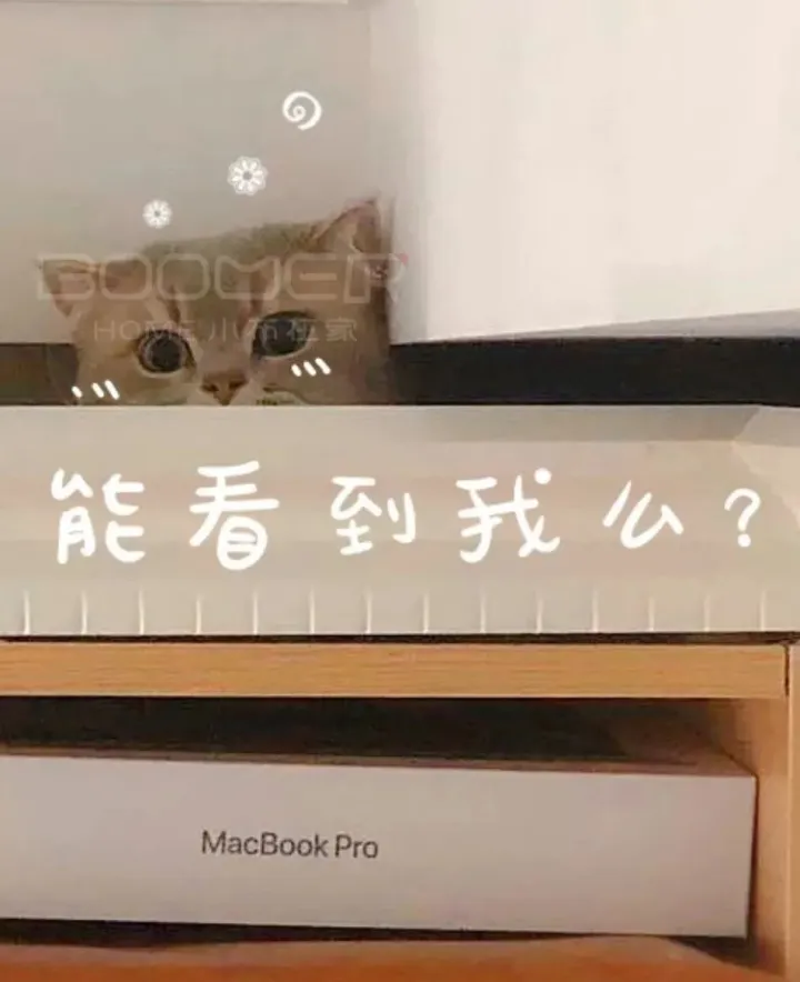 有什么有趣的宠物名字好听,关于宠物的趣味知识,求分享?