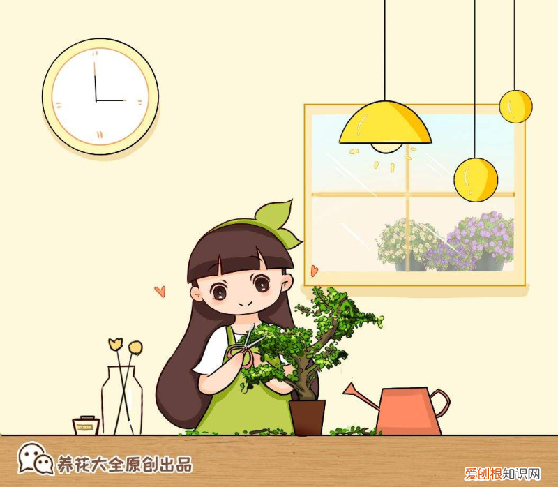 如何才能养好花，3个养花技巧，简单好学，养啥都活