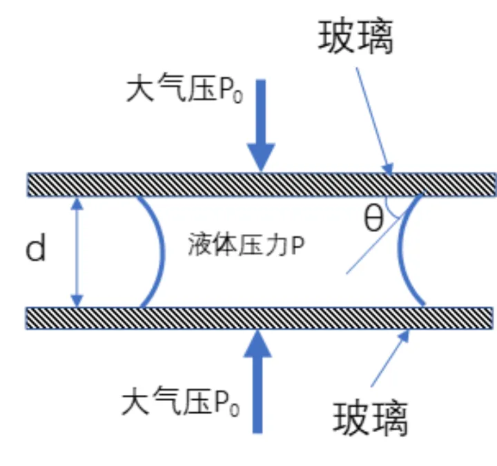 你知道的生活小常识有哪些英语作文，你知道的生活小常识有哪些？