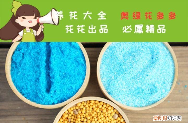 养花大全各种花图片全，6个养花实用小窍门，业余爱好者的秘籍，养好花并不难