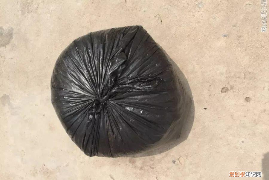 养花大全各种花图片全，6个养花实用小窍门，业余爱好者的秘籍，养好花并不难