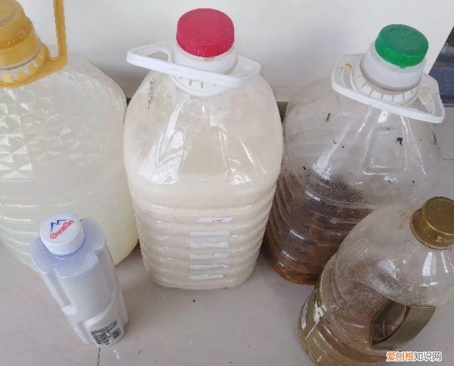 养花大全各种花图片全，6个养花实用小窍门，业余爱好者的秘籍，养好花并不难