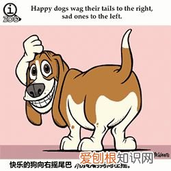 敲适合小朋友学的冷知识：可爱的GIF小动物教你说英语喽