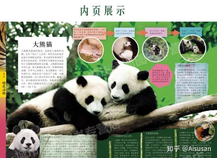 儿童介绍植物，《中国儿童动物百科全书》