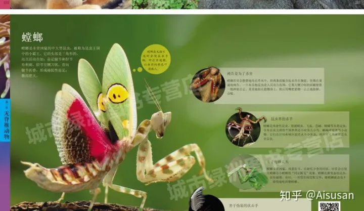 儿童介绍植物，《中国儿童动物百科全书》