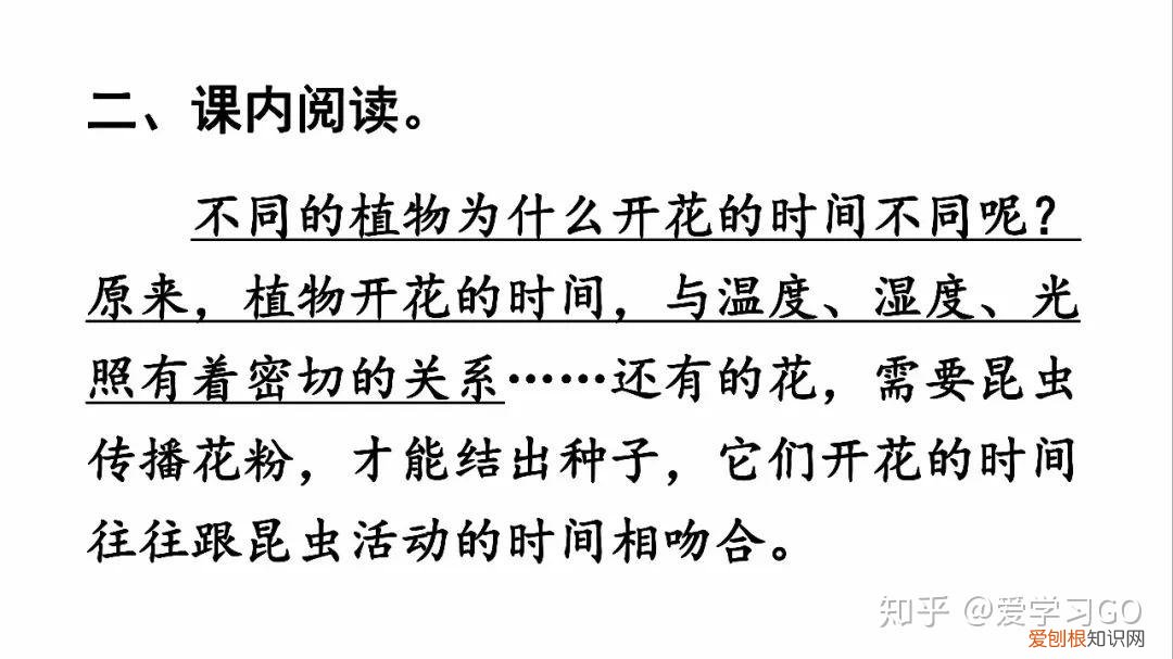 部编版三年级下册花钟第二课时教学设计，部编版三年级下册第13课《花钟》图文讲解+知识点梳理